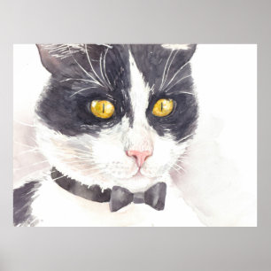 Tuxedo cat poster