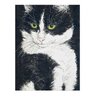 Tuxedo cat poster
