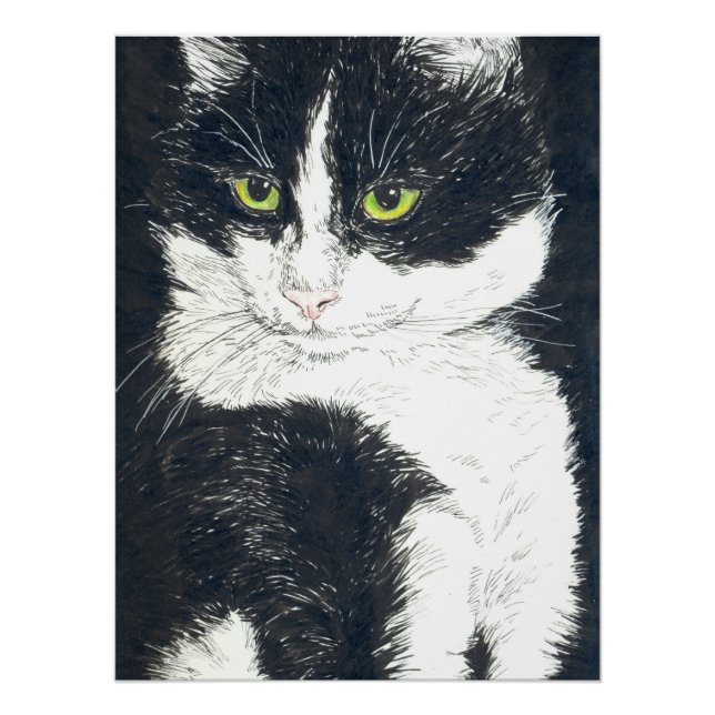 Tuxedo cat poster (Front)