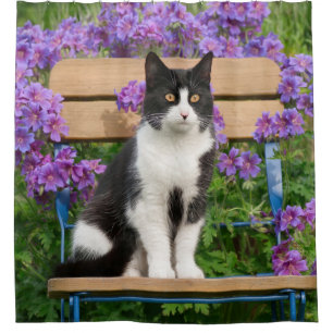 Tuxedo cat sitting on a garden chair with flowers