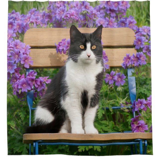 Tuxedo cat sitting on a garden chair with flowers (Front)