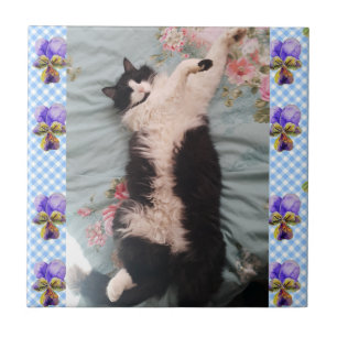 Tuxedo Cat Sleeping Funny Cats Happy Dance Tile