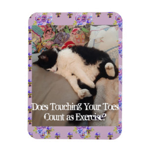 Tuxedo Cat Sleeping Funny Quote cats Magnet