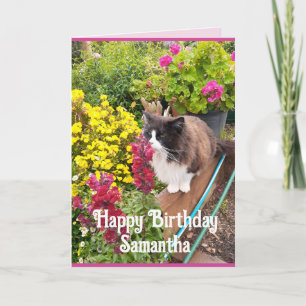 Tuxedo Cat Sniffing Flowers Funny Birthday Card