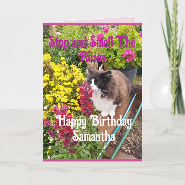 Tuxedo Cat Sniffing Flowers Funny Birthday Roses Card (Front)