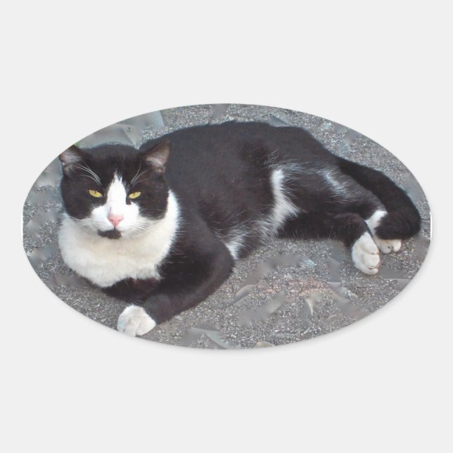 Tuxedo Cat Sticker (Front)
