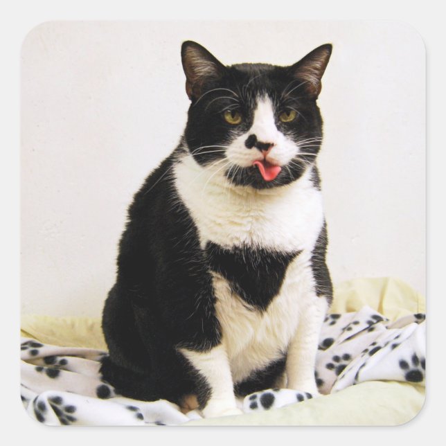 Tuxedo Cat Sticking Out Her tongue Square Sticker (Front)
