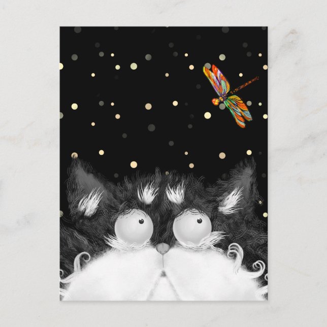 Tuxedo Cat Surprised by Dragonfly  Postcard (Front)