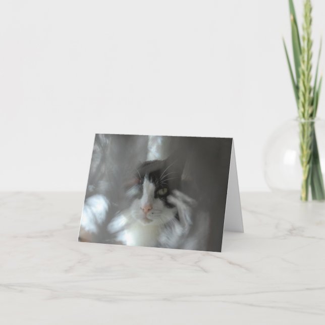 Tuxedo Cat through branches Holiday Card (Front)