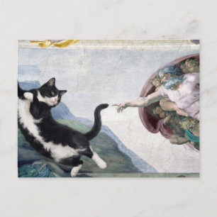 Tuxedo Cat Touching the Divine Paw Postcard