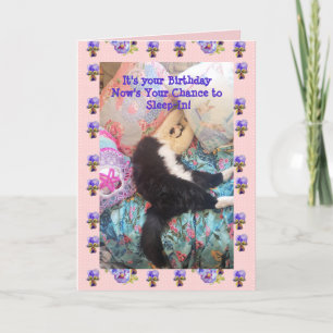 Tuxedo Chat Cute Drôle Drôle Chats Dormir Carte Vi
