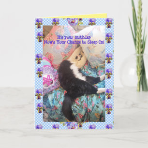 Tuxedo Chat Cute Drôle Drôle Chats Dormir Carte Vi