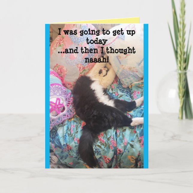 Tuxedo Chat Cute Funny Chats couchés Carte d'anniv (Devant)