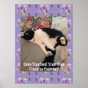 Tuxedo Chat Cute Funny Touch Toes Chats Poster