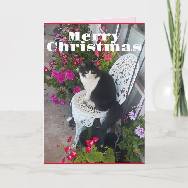 Tuxedo Chat Cute Jolie Fleurs Chats Carte de Noël (Devant)