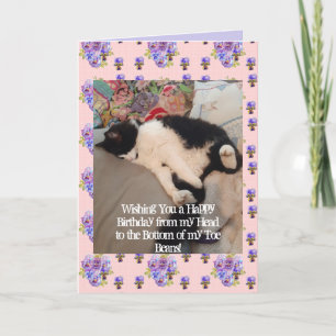 Tuxedo Chat Cute Joyeux Anniversaire Carte de hari