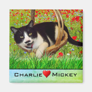 Tuxedo Chat dans le panier Réfrigérateur Magnet