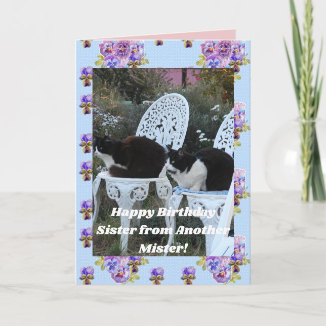 Tuxedo Chat Funny Anniversaire Soeur Mister Carte  (Devant)