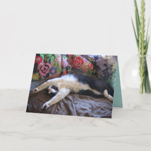 Tuxedo Chat Funny Mexicaine Vague Cute Carte Anniv
