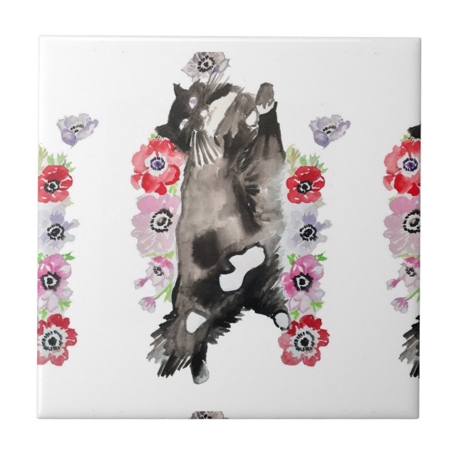 Tuxedo Chat noir et blanc Chats carreaux rose flor (Devant)