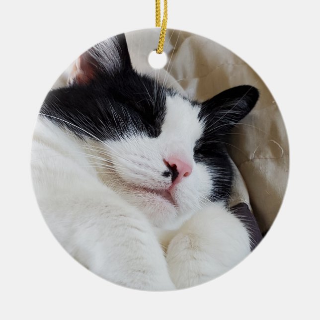 Tuxedo Chat ornement (Devant)