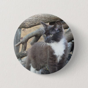 Tuxedo Kitten 2 Inch Round Button