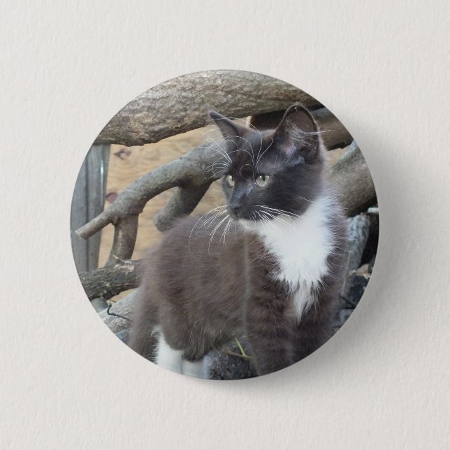 Tuxedo Kitten 2 Inch Round Button (Front)