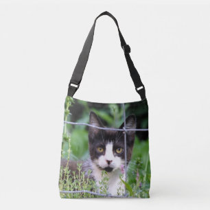 Tuxedo Kitten dans le sac de carrosserie du jardin