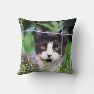 Tuxedo Kitten in the Garden  Throw Pillow