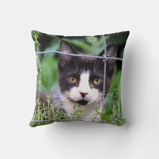 Tuxedo Kitten in the Garden  Throw Pillow (Back)