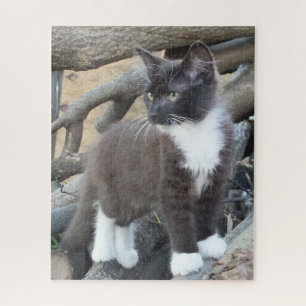 Tuxedo Kitten Jigsaw Puzzle