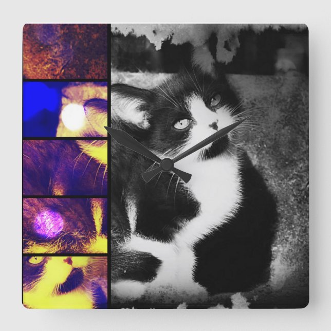 Tuxedo Kitten Photo Art Horloge murale (Recto)