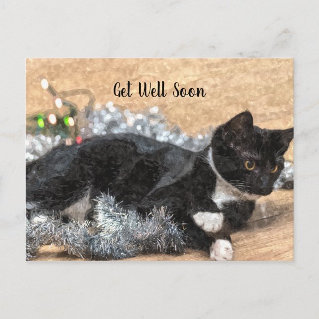 Tuxedo Kitten Tinsel and Lights Get Well Postcard (Front)