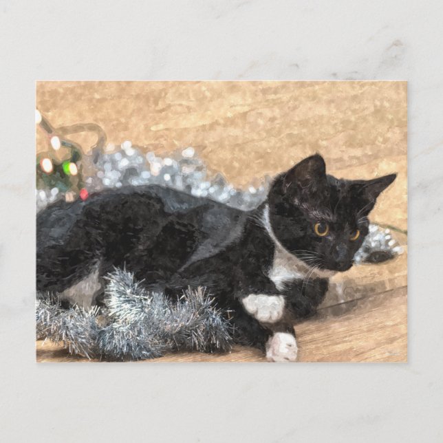 Tuxedo Kitten Tinsel and Lights Postcard (Front)