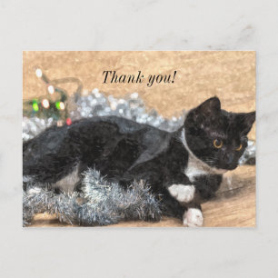 Tuxedo Kitten Tinsel and Lights Thank You Postard Postcard