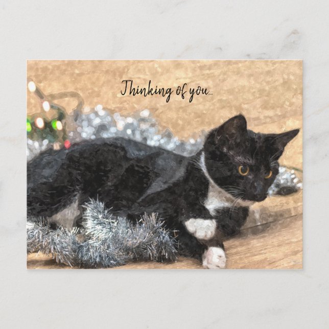 Tuxedo Kitten Tinsel and Lights Thinking Of You Postcard (Front)