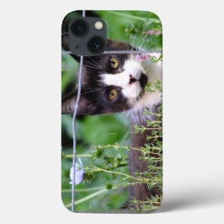 Tuxedo Kitten Xena in the Garden iPad Air Case