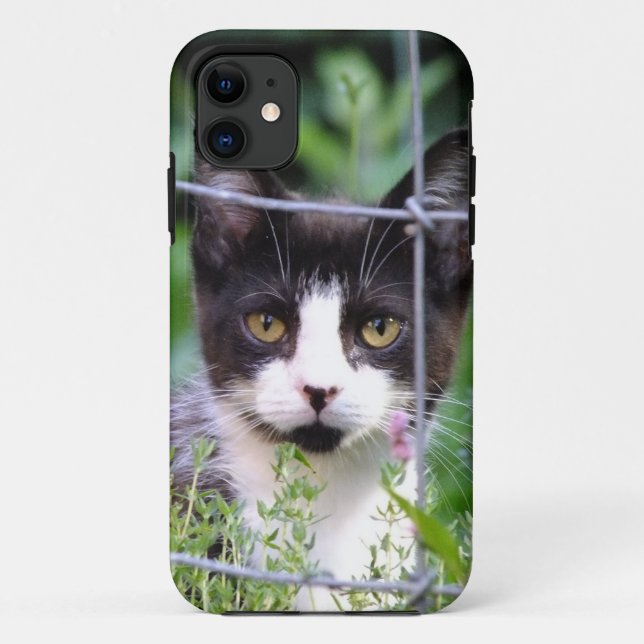 Tuxedo Kitten Xena in the Garden iPhone 4 Case (Back)