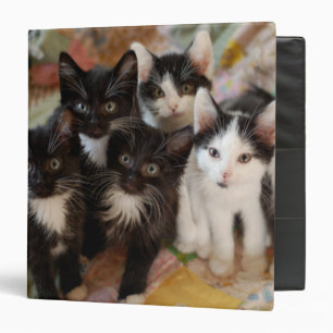 Tuxedo Kittens Binder