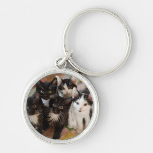 Tuxedo Kittens Keychain