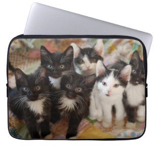 Tuxedo Kittens Laptop Sleeve