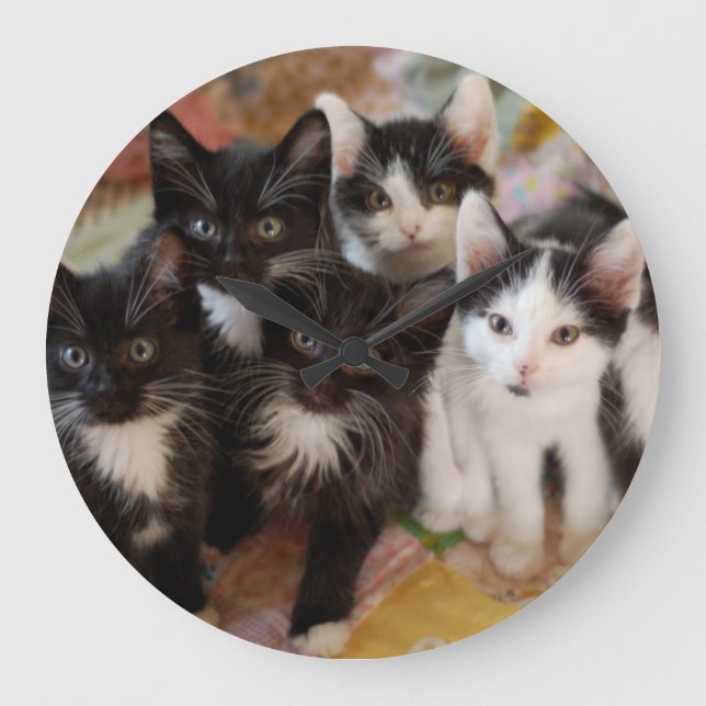 Tuxedo Kittens Large Clock (Front)