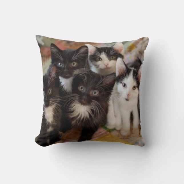 Tuxedo Kittens Throw Pillow (Front)