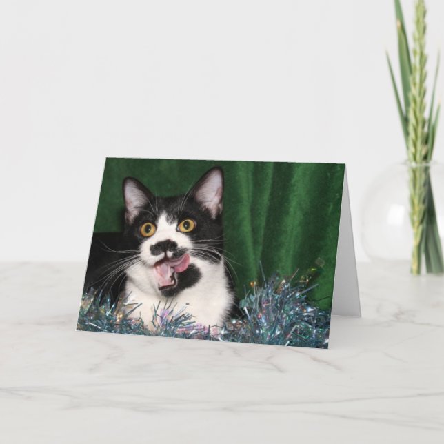 Tuxedo kitty Christmas Holiday Card (Front)