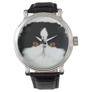 Tuxedo persian face watch