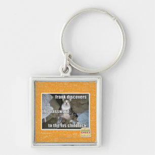 TV Childlock Keychain