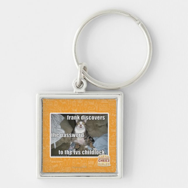 TV Childlock Keychain (Front)