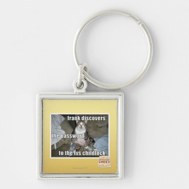 TV Childlock Keychain (Front)