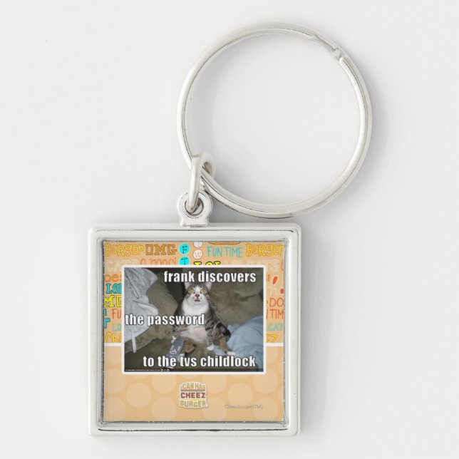 TV Childlock Keychain (Front)