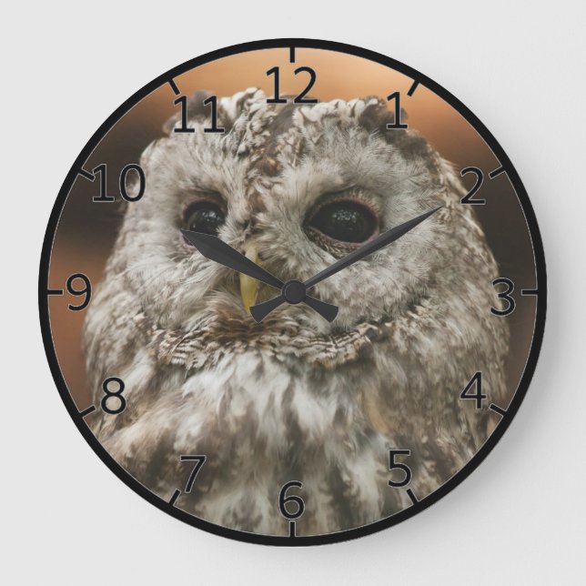 Twany Owl Large Clock (Front)